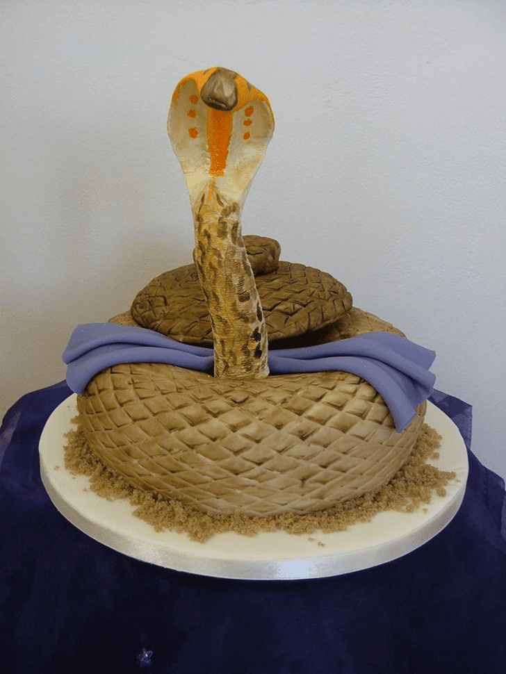 Bewitching Cobra Cake