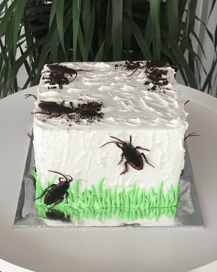 Cake search: cockroach - CakesDecor