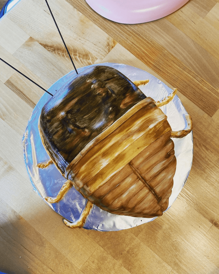 Comely Cockroach Cake
