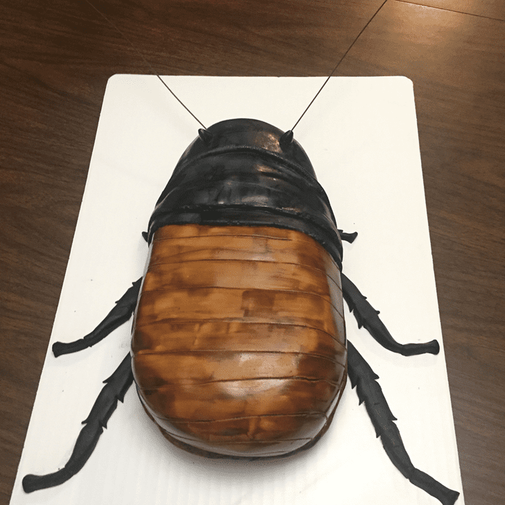 Cockroach 3D Cake