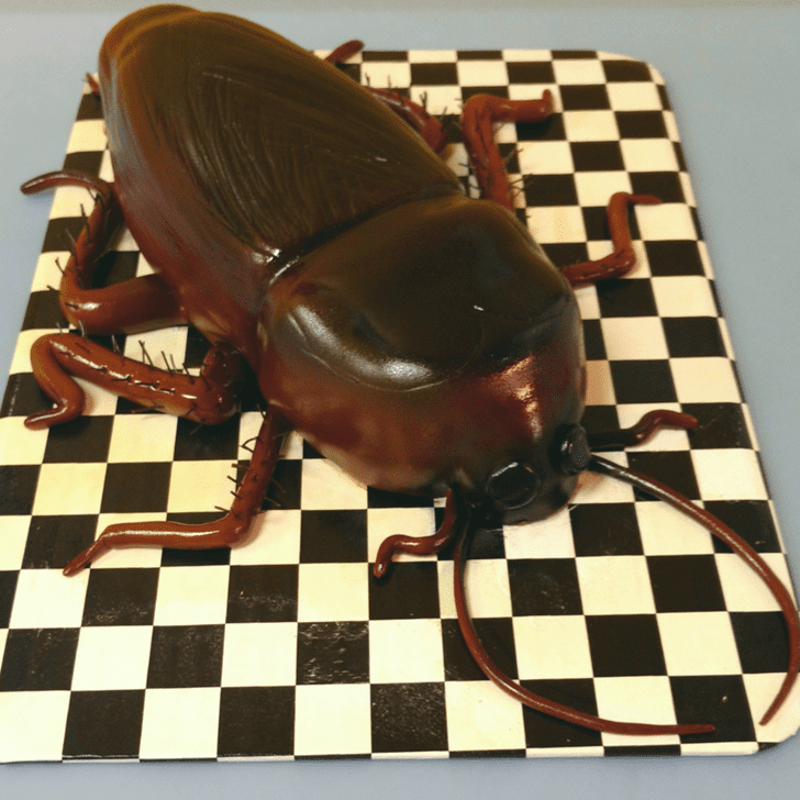 Exquisite Cockroach Cake