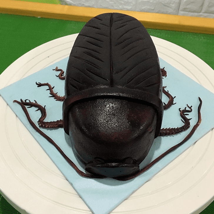 Fair Cockroach Cake
