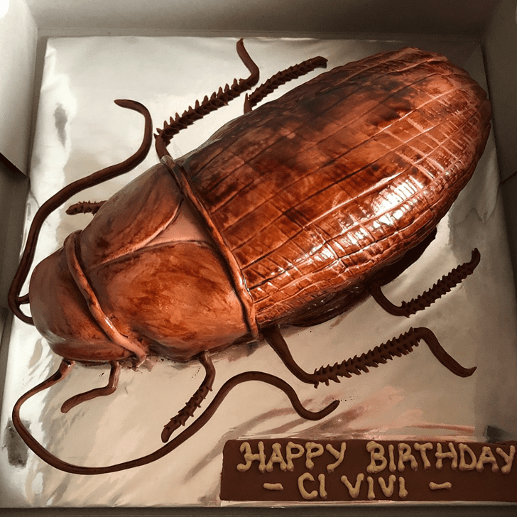 Fetching Cockroach Cake