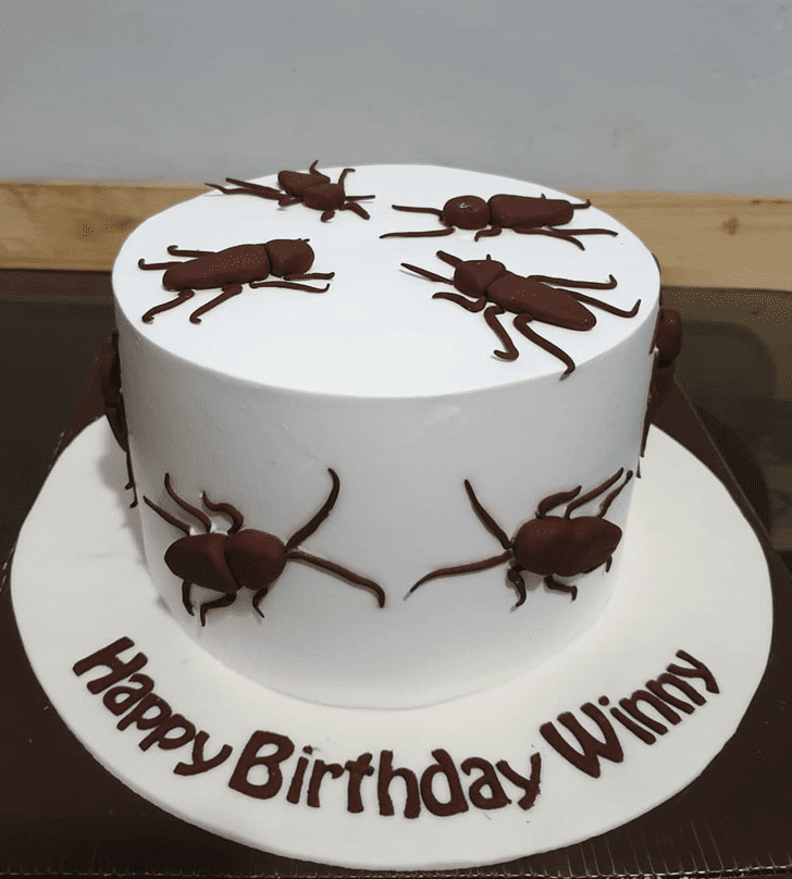 Fine Cockroach Cake
