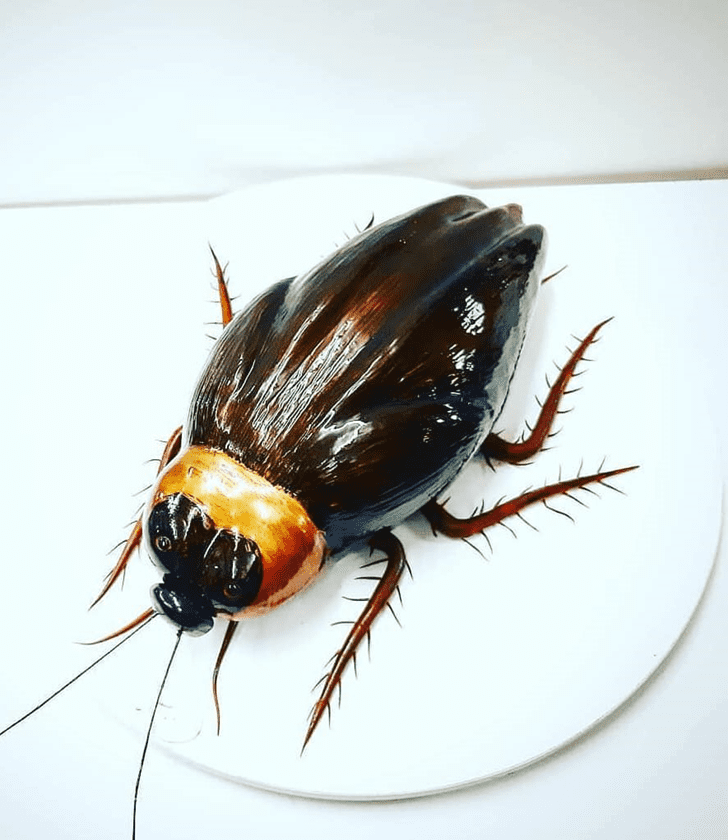 Inviting Cockroach Cake