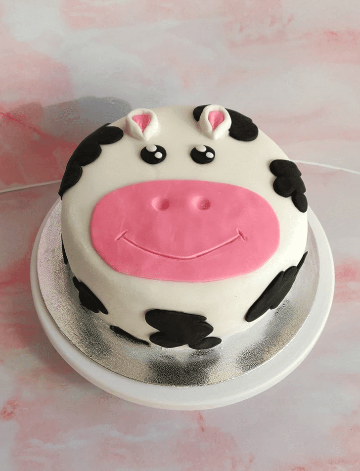 Bewitching Cow Cake