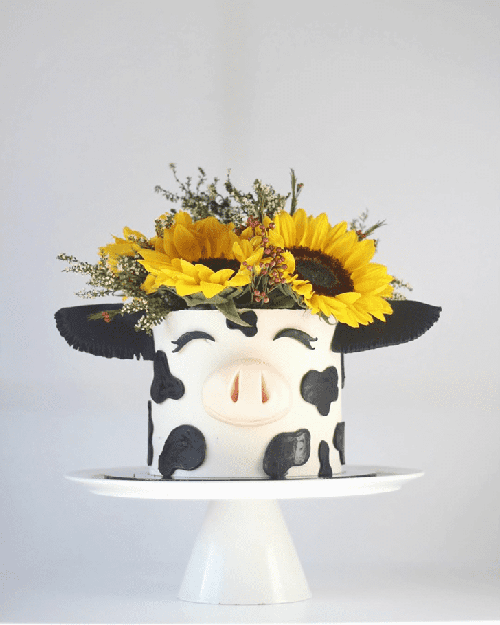 Inviting Cow Cake