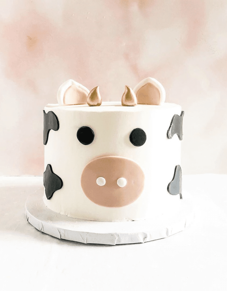 Magnetic Cow Cake