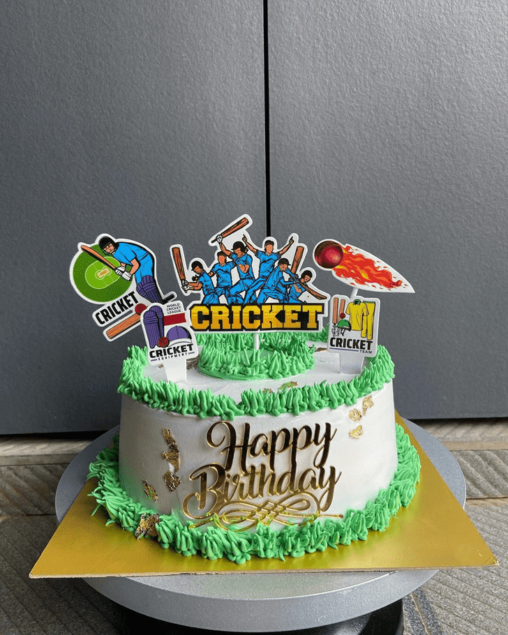 Admirable Cricket Cake Design