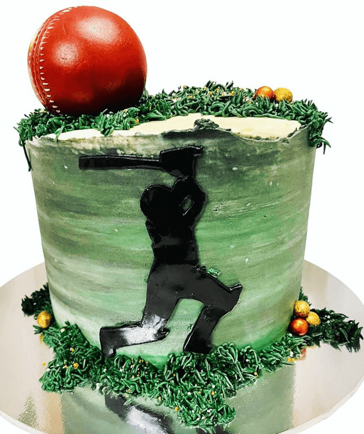 Appealing Cricket Cake