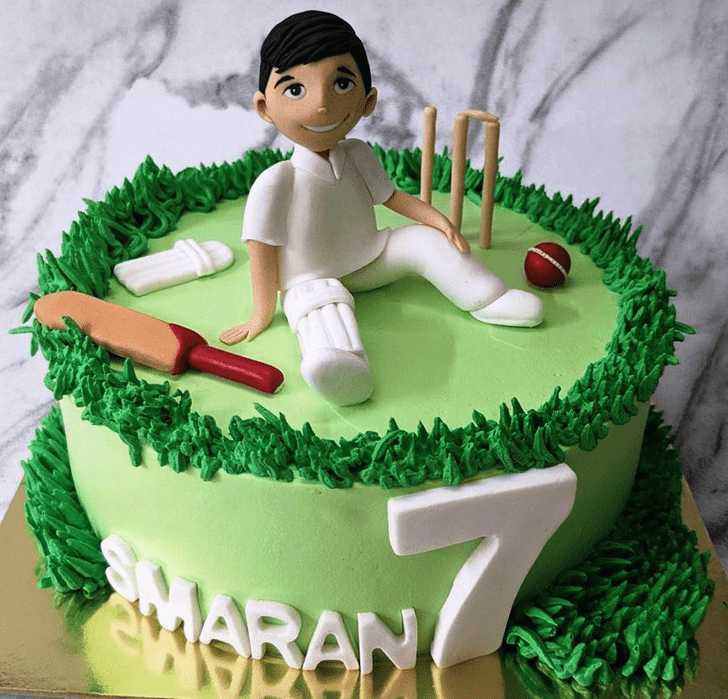 Beauteous Cricket Cake