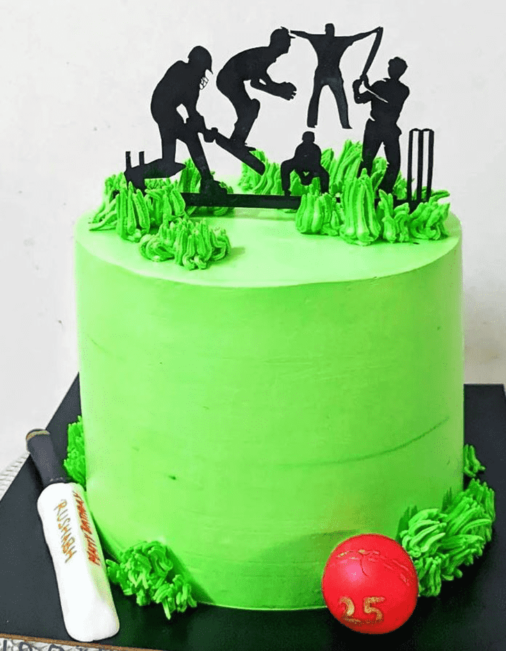 Fair Cricket Cake