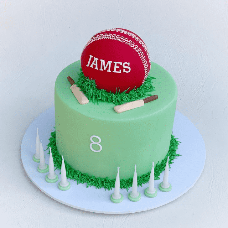 Fine Cricket Cake