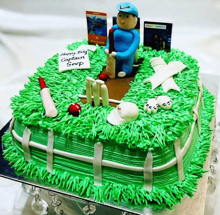 Lovely Cricket Cake Design