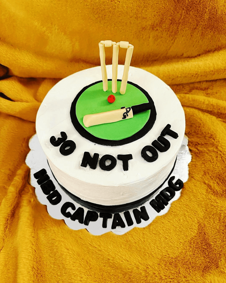 Slightly Cricket Cake