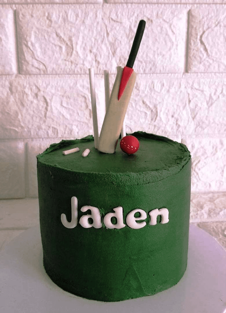 Superb Cricket Cake