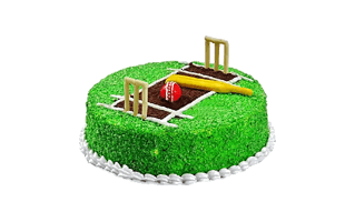 Cricket Cake Design
