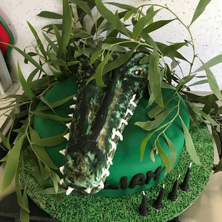 Enthralling Crocodile Cake