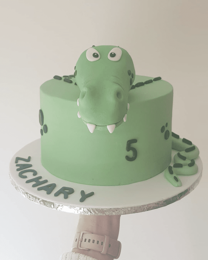 Magnetic Crocodile Cake
