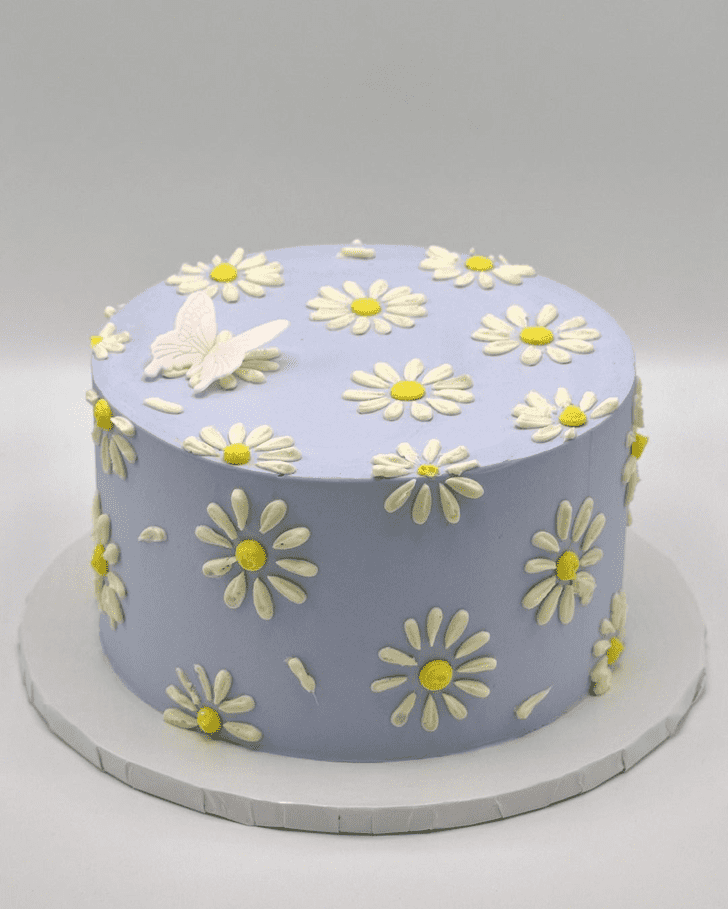 Beauteous Daisy Cake