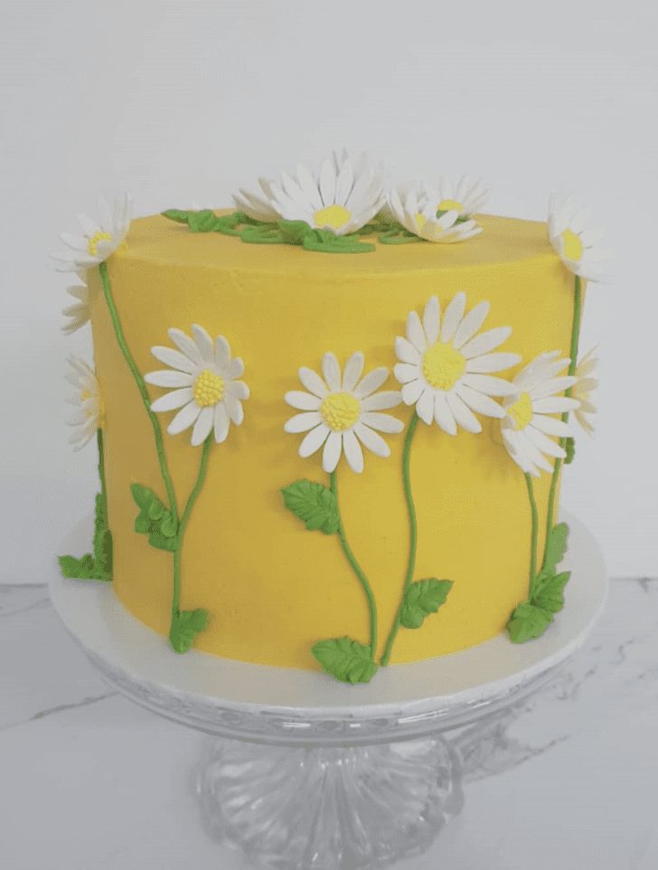 Comely Daisy Cake
