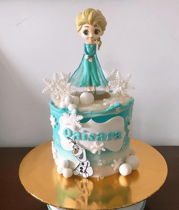 Magnetic Disneys Elsa Cake