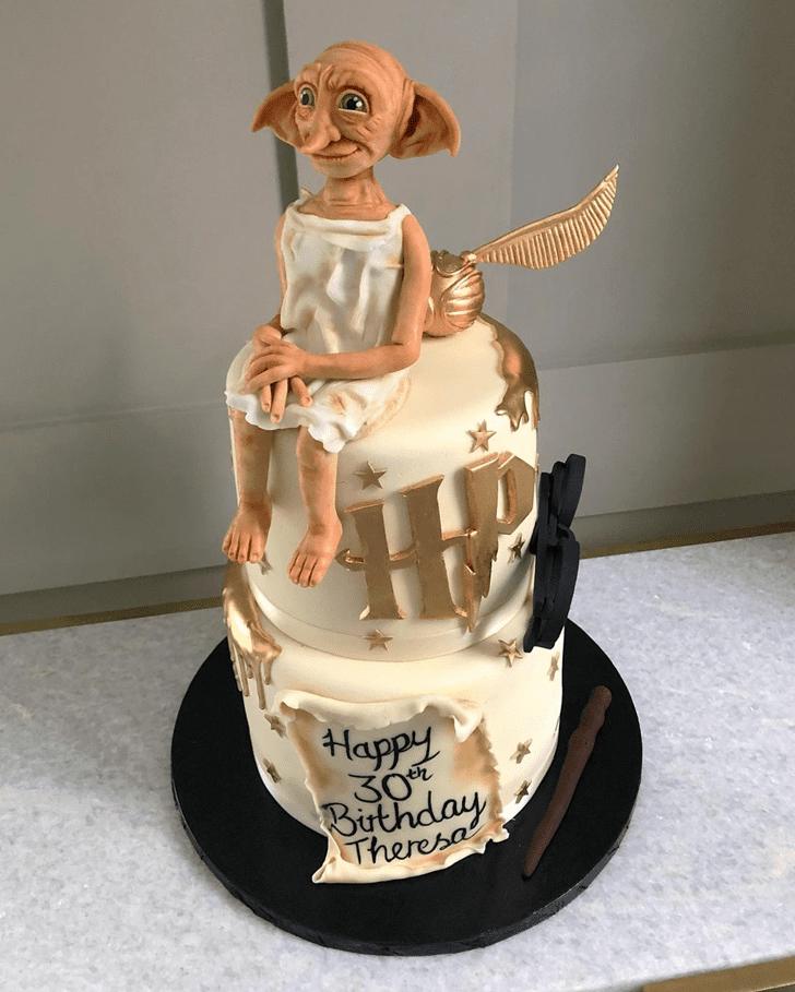 Magnificent Dobby Cake