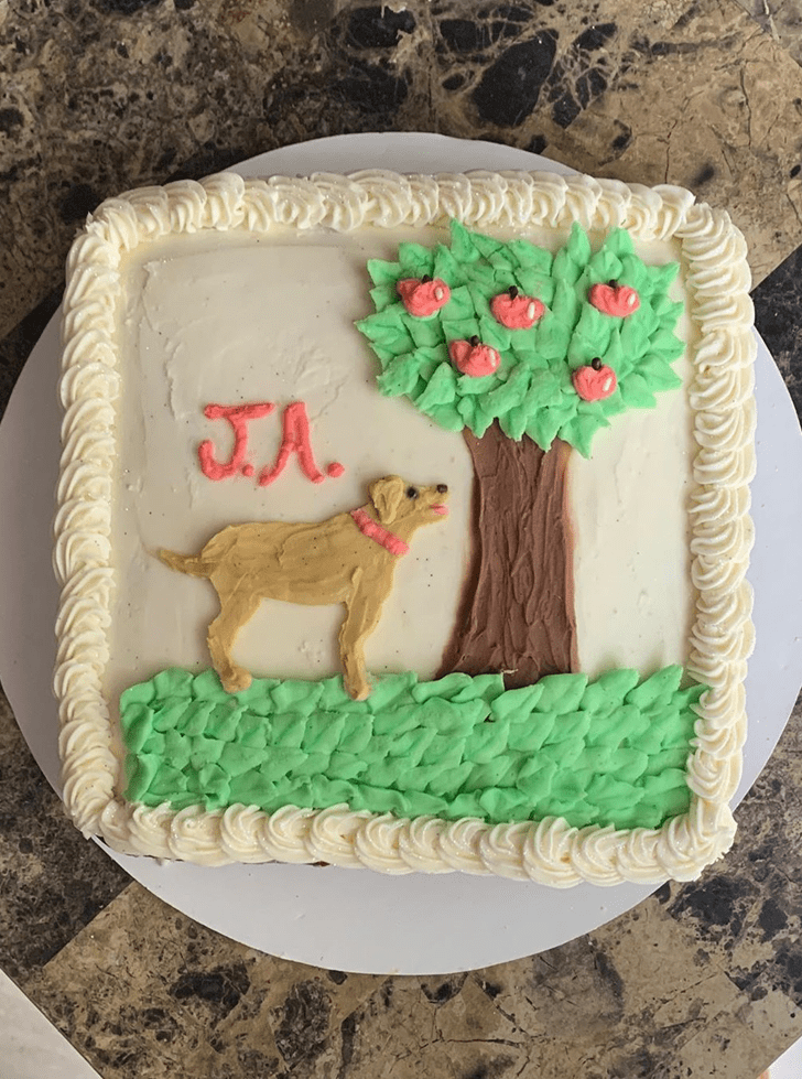 Comely Dog Cake
