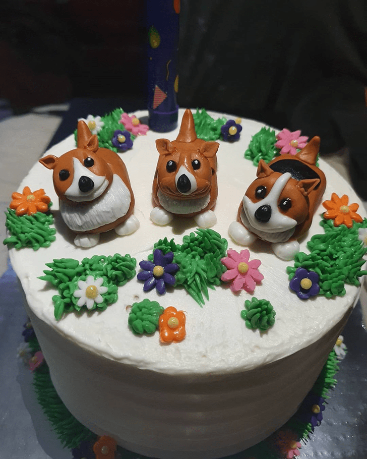 Divine Dog Cake