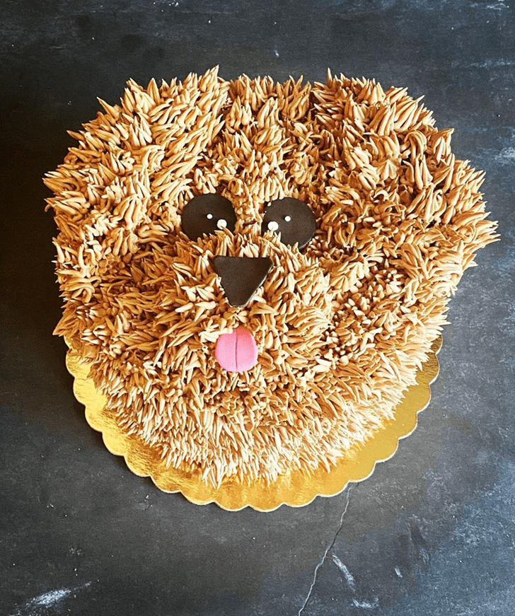 Enticing Dog Cake