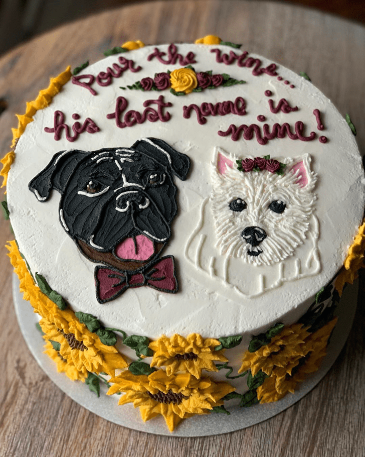 Fine Dog Cake