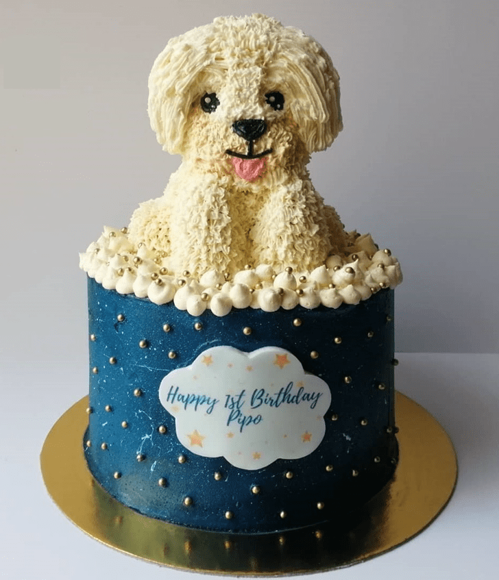 Grand Dog Cake