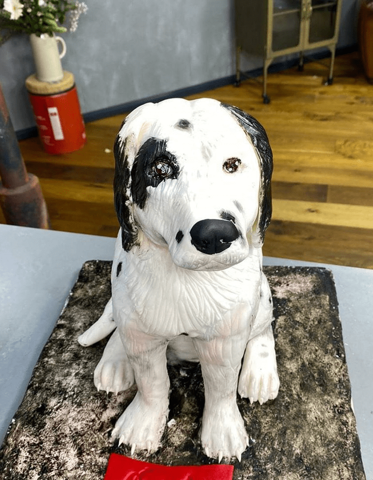 Inviting Dog Cake