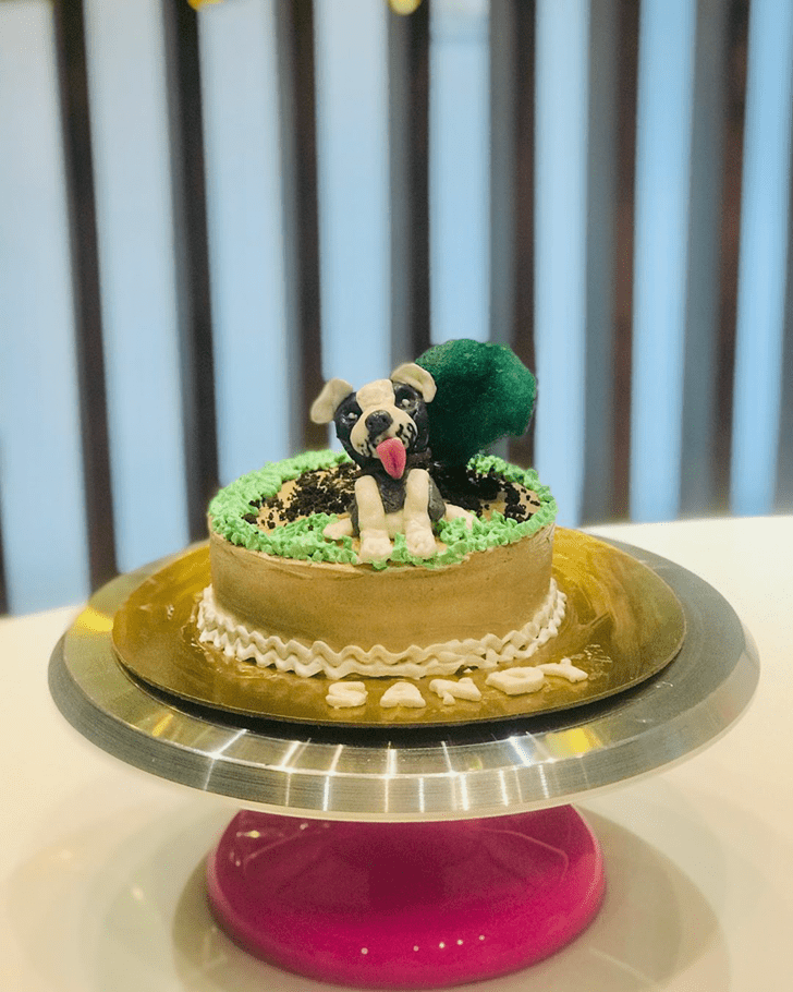 Magnificent Dog Cake