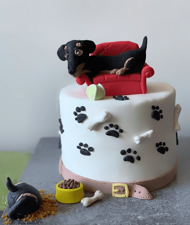 Slightly Dog Cake