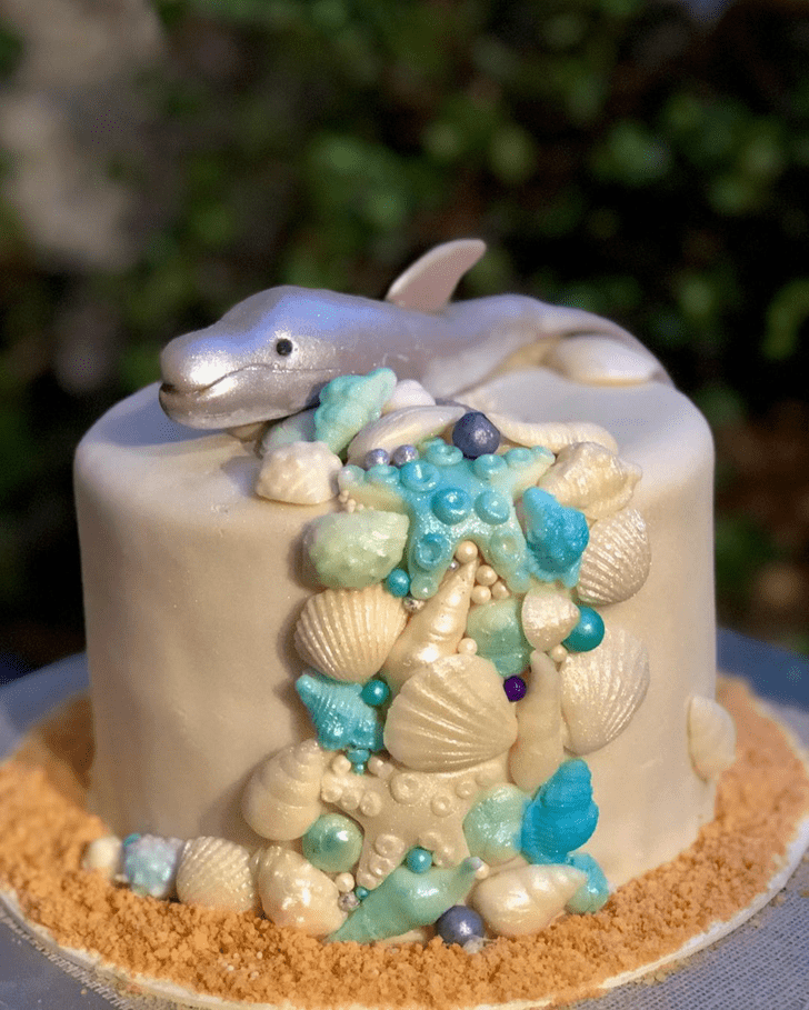 Fine Dolphin Cake