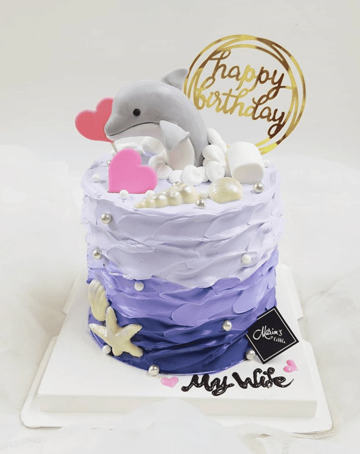 Magnetic Dolphin Cake