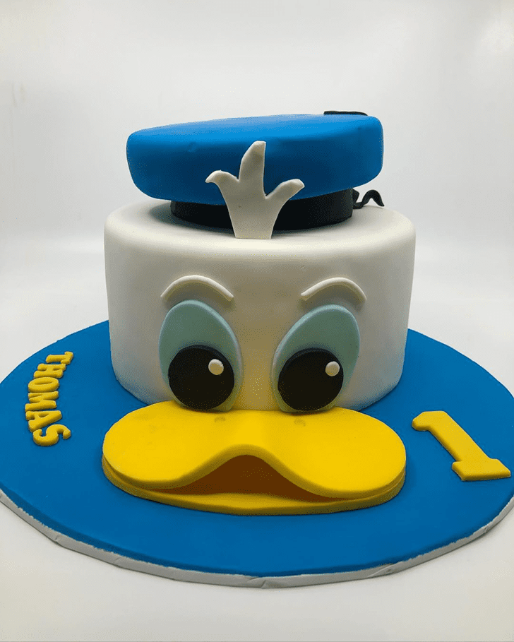 Coolest DIY Birthday Cakes | Donald Duck and Daisy Cakes