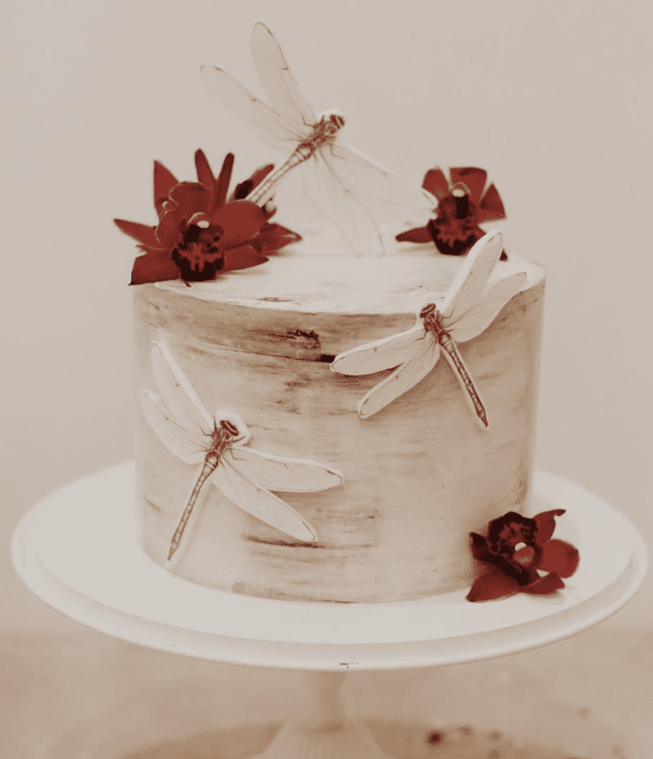 Bewitching Dragonfly Cake