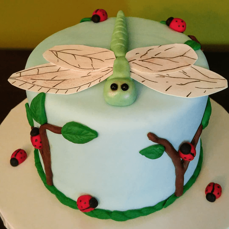 Cute Dragonfly Cake