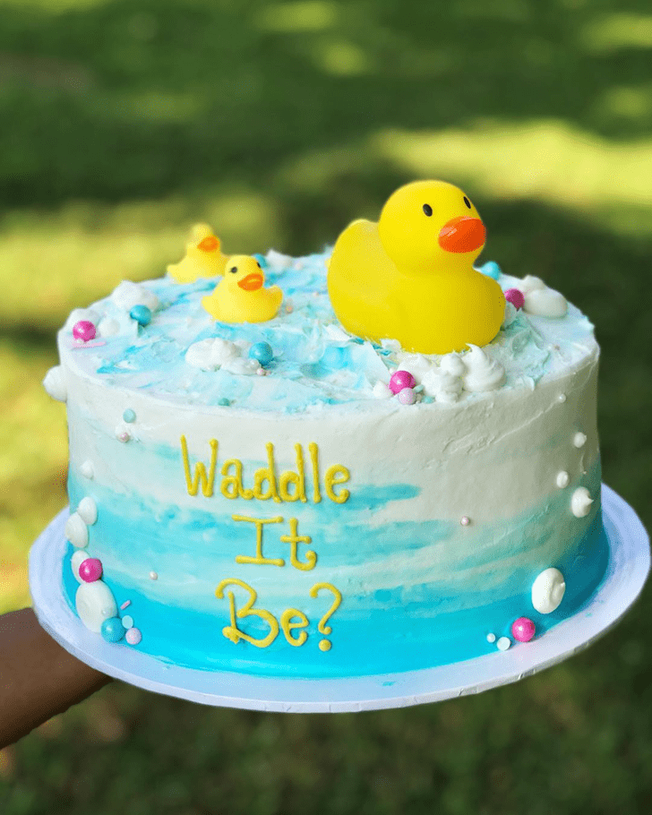 Magnetic Duck Cake