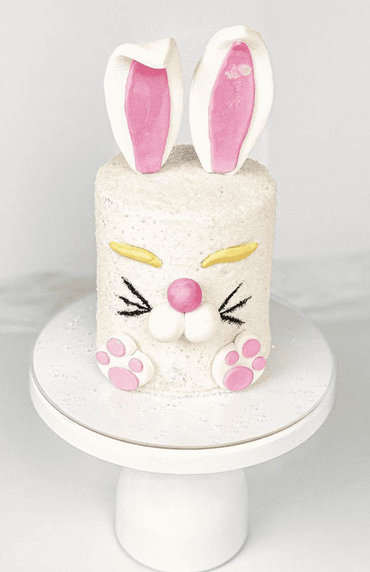 Pleasing Easter Bunny Cake