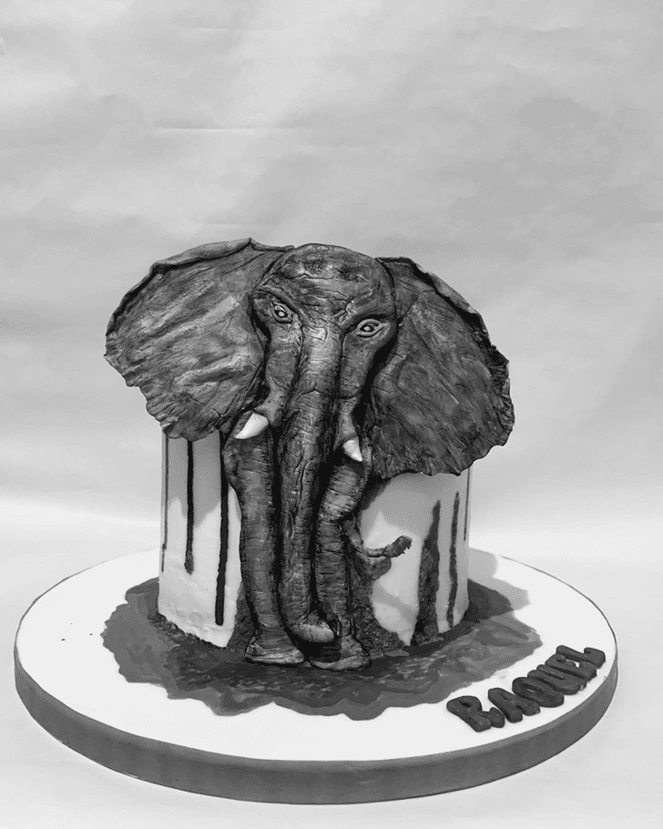 Good Looking Elephant Cake