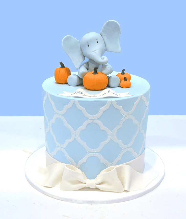 Handsome Elephant Cake