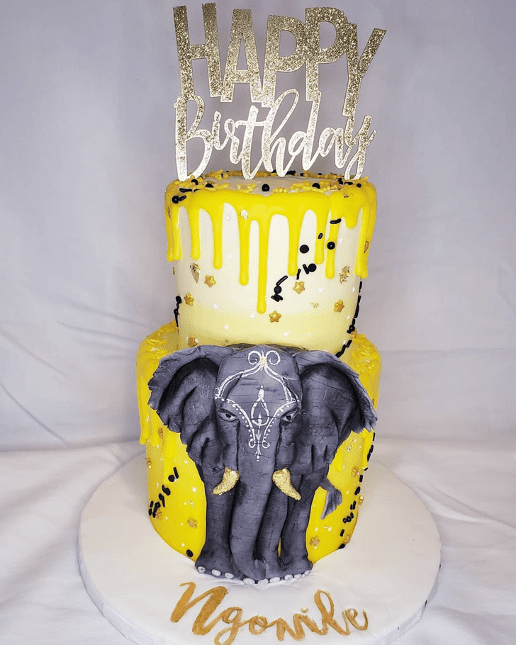 Magnetic Elephant Cake