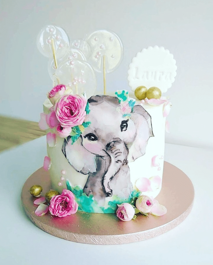 Magnificent Elephant Cake