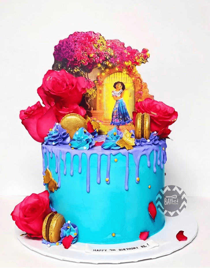 Admirable Encanto Cake Design