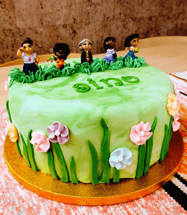 Lovely Encanto Cake Design