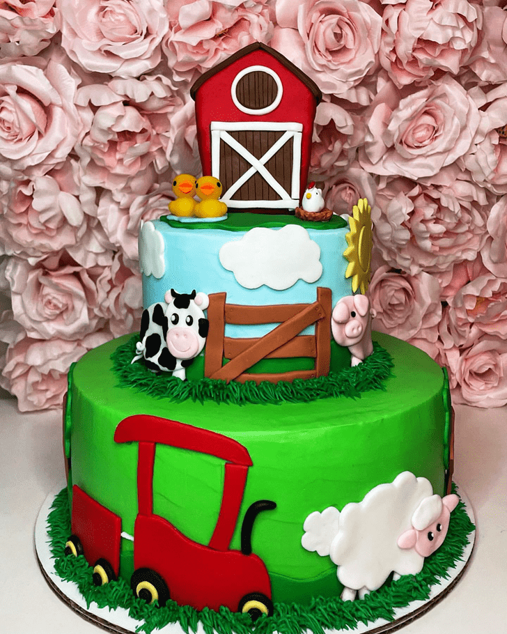 Good Looking Farm  Cake