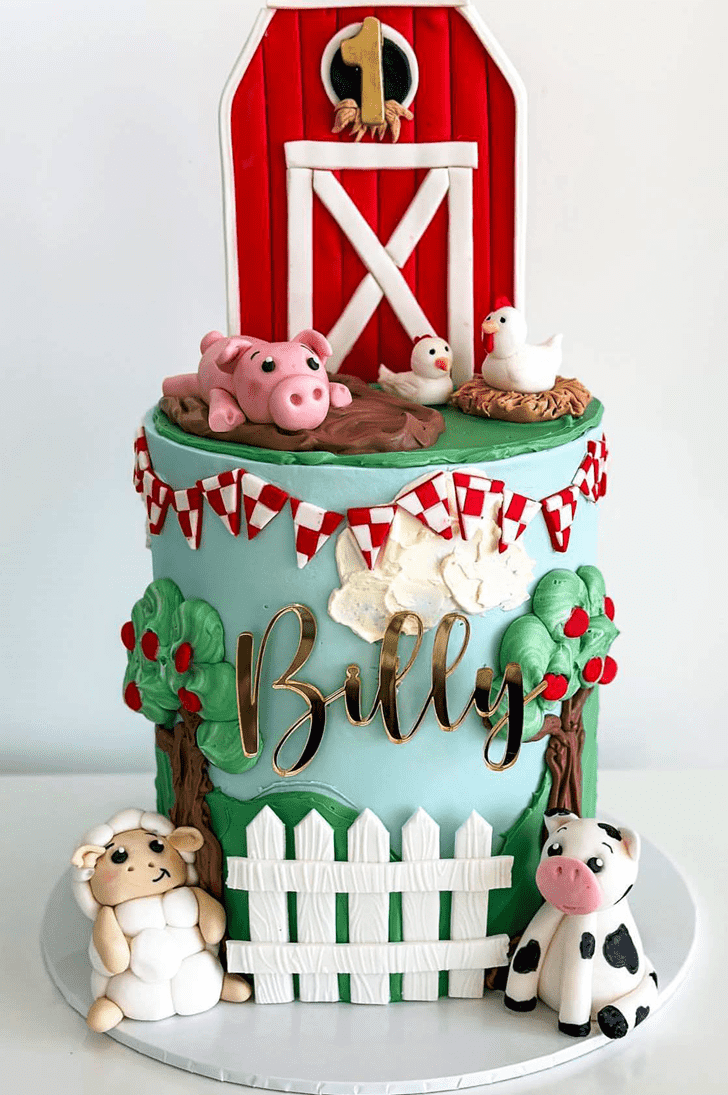 Handsome Farm  Cake